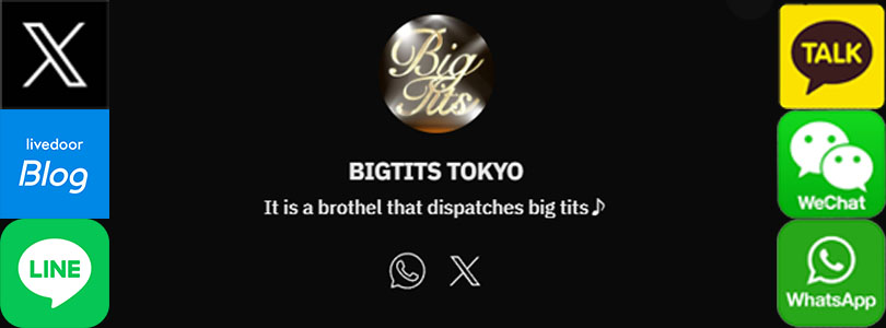 新宿巨乳痴女デリヘル　BIG TITSBIGTITS TOKYO